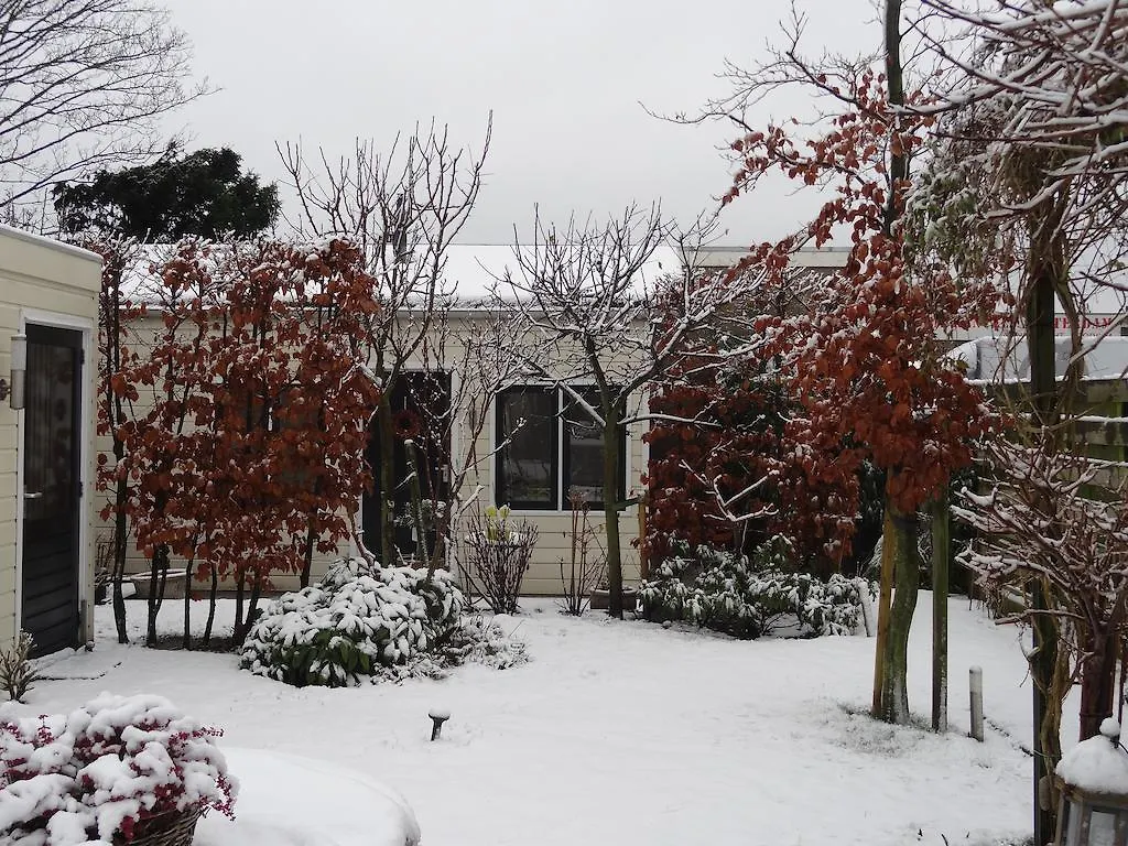Bed&Breakfast De Noordeling Amsterdam Netherlands