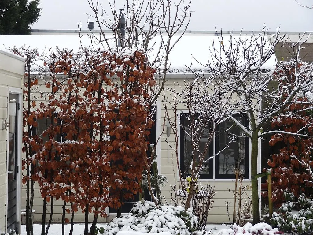 Bed & Breakfast Bed&Breakfast De Noordeling Amsterdam