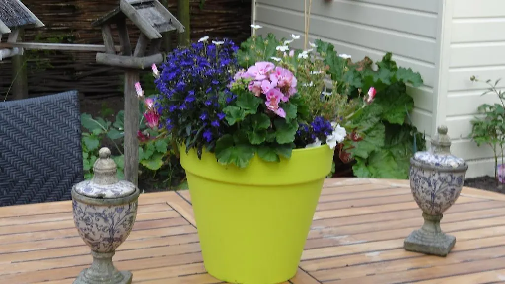 Bed&Breakfast De Noordeling Amsterdam 0*,  Netherlands